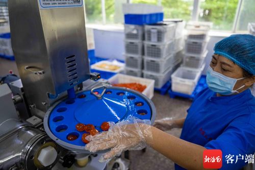 原創組圖丨中秋將至 海口這個食品廠開足馬力生產月餅