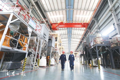 主動融入發展大局 打造鋯鎂產業集群